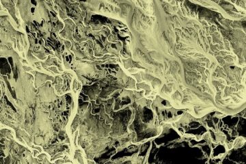 a3693186252 10