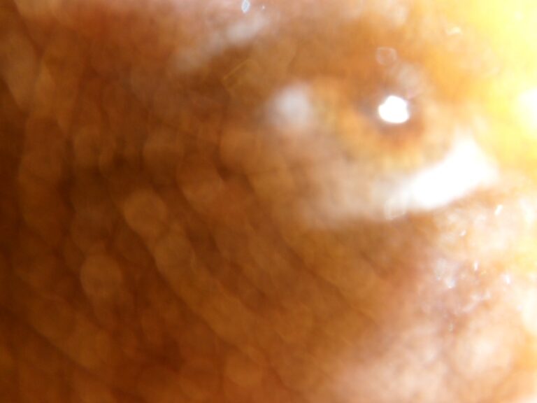 a2616543603 10