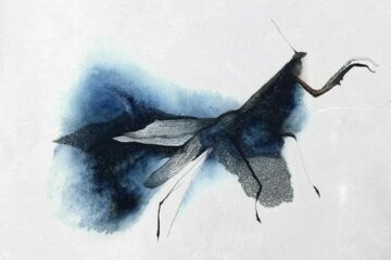 artworks 000063348777 jrcev2 t500x500