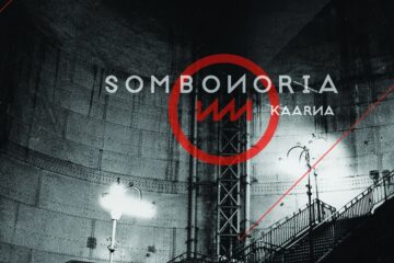 a2232347316 10