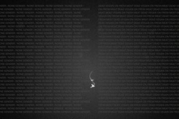 a4147888904 10