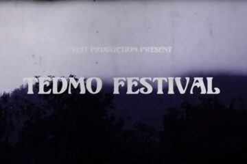 tedmofestival