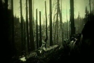 a3104747232 10