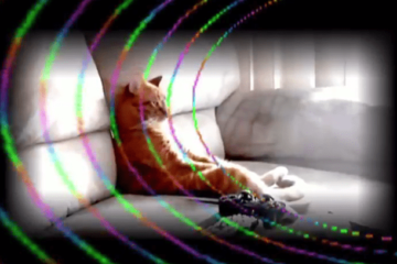 ULTRADANCE