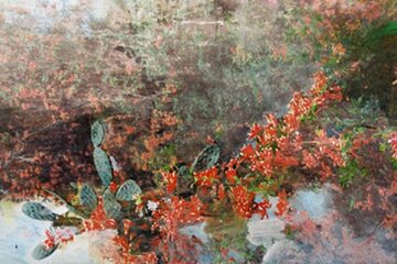 artworks 000083833422 3j6ly1 t500x500 750x400