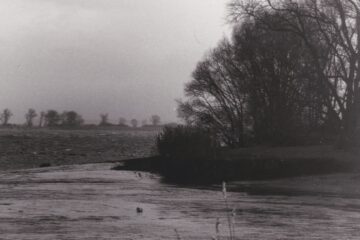 a1965858447 10