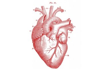 a3311944317 10