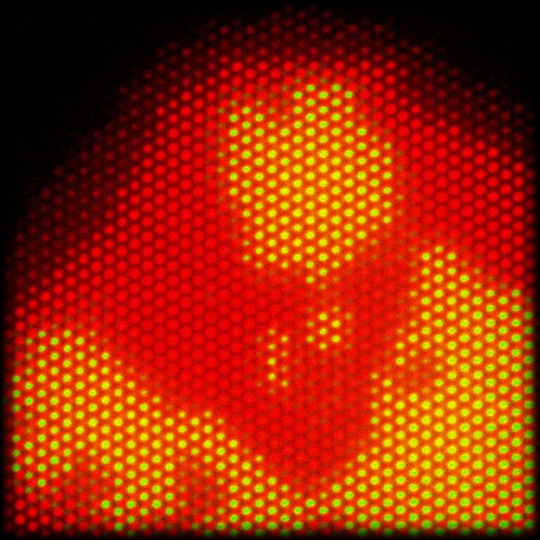 a2559970085 10