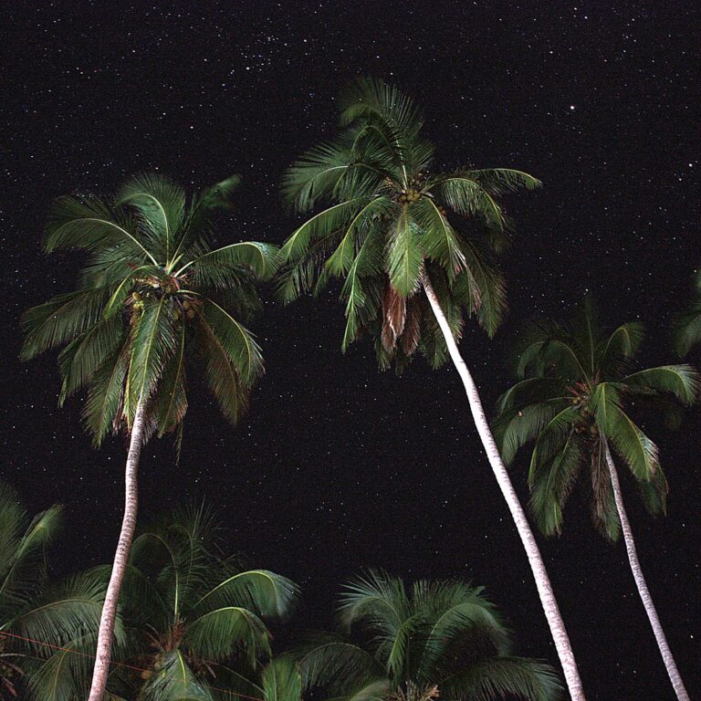 a3661532463 10