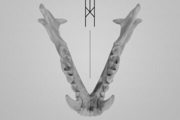 a3752333762 10