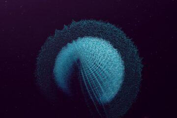 a2125693865 10