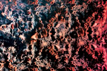 a3771990809 10