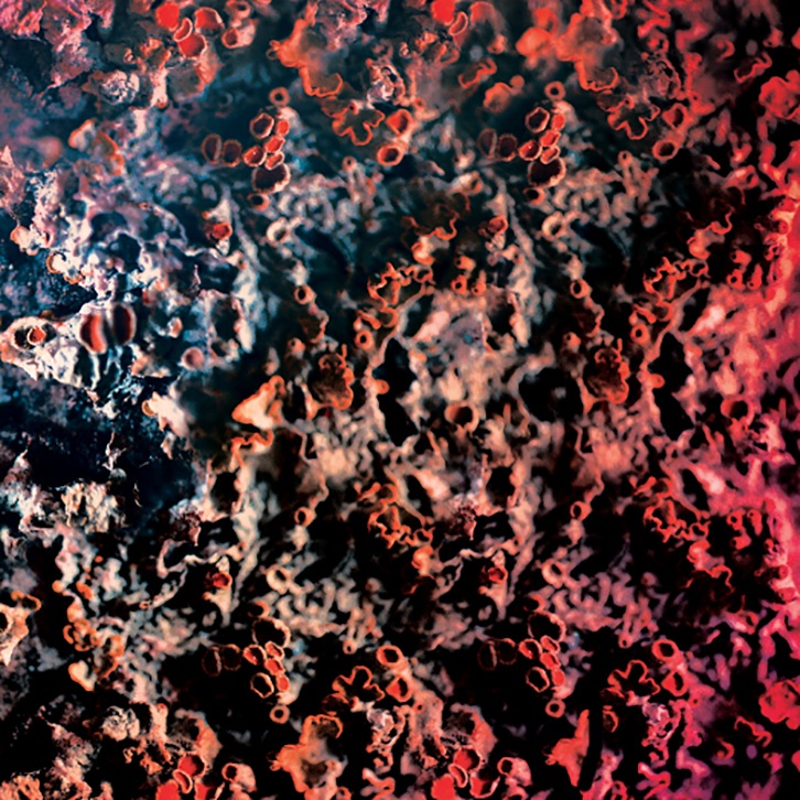 a3771990809 10