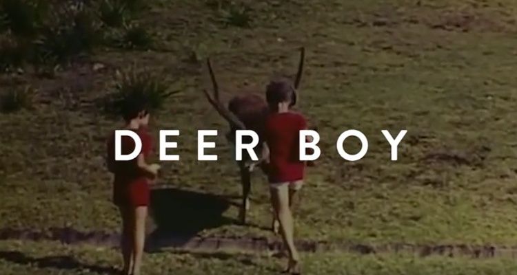 deer boy
