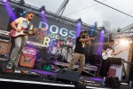 D.O.G.S SO