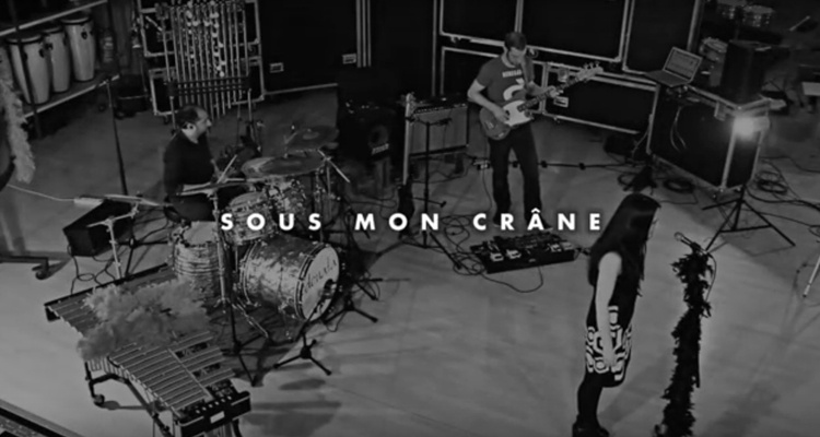 Sous mon crane ODONATA