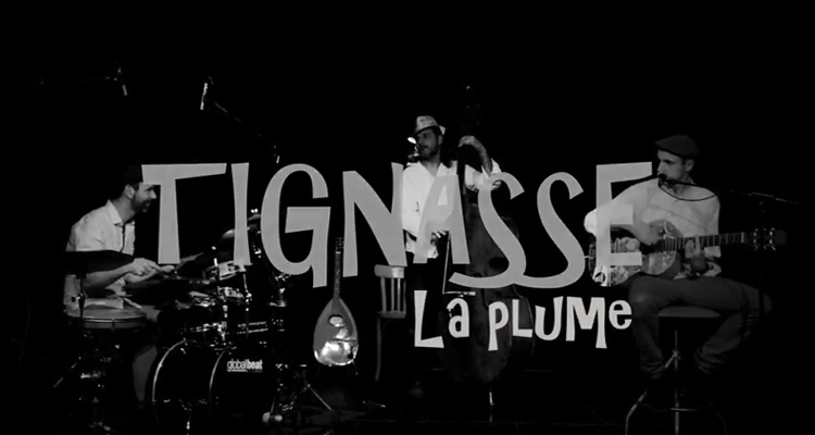 tignasse la plume