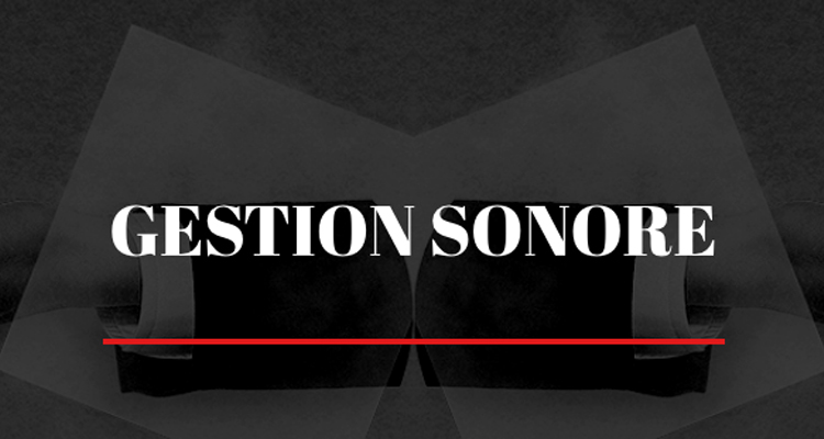 gestion sonore