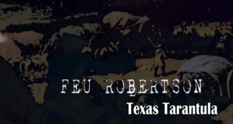 Feu Robertson Texas Tarantula