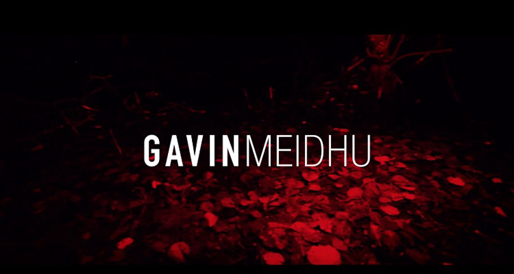 Gavin Meidhu LOKIDOR
