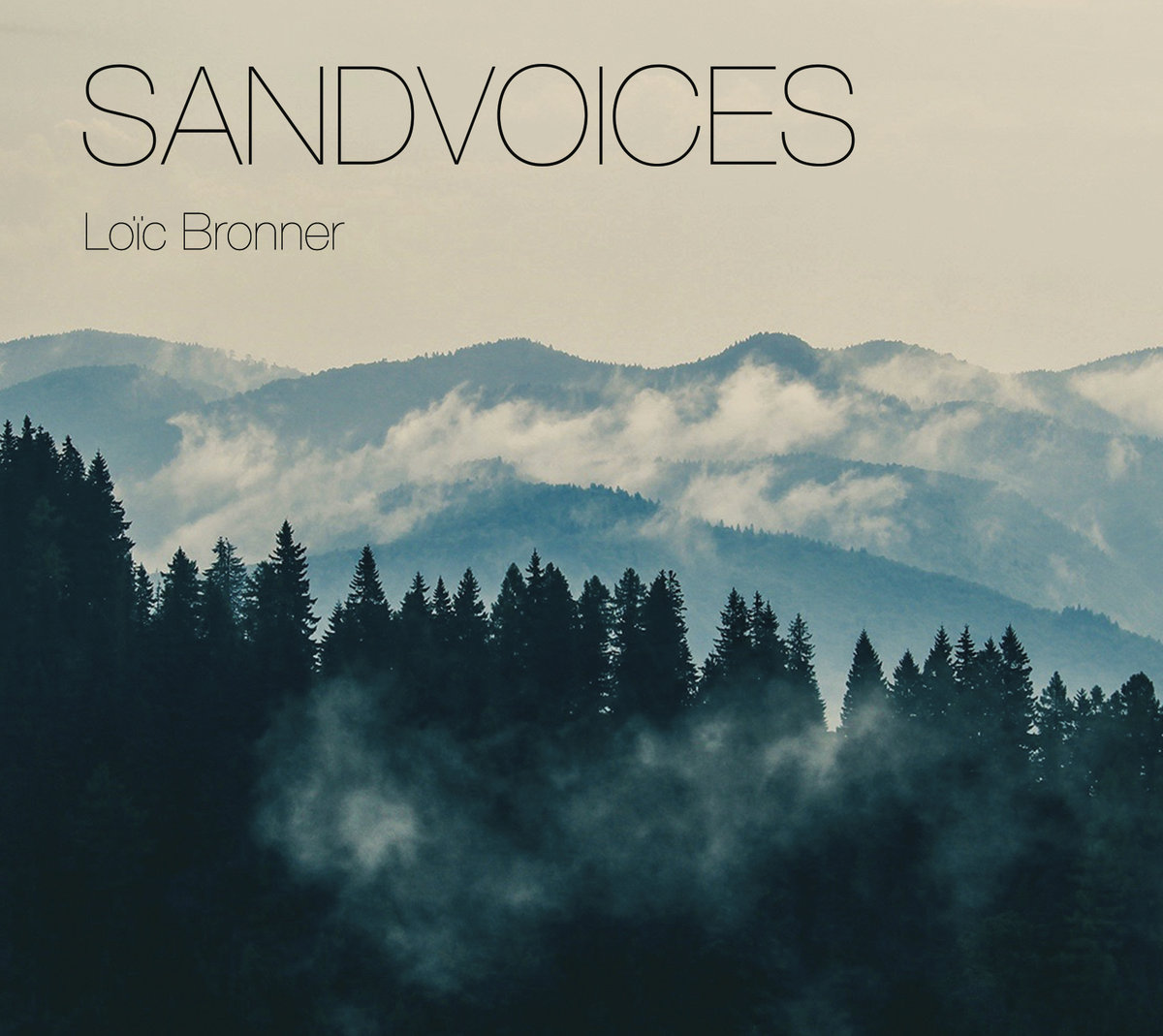 loic bronner