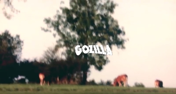 TO Gozilla