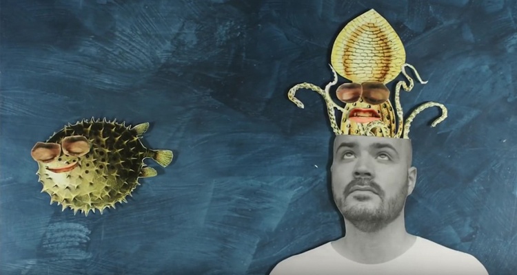 Adam and the Madams Caterpillar