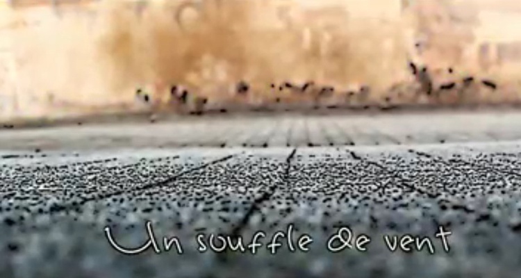 AÏEUR