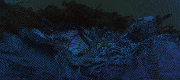 OBSOLETH