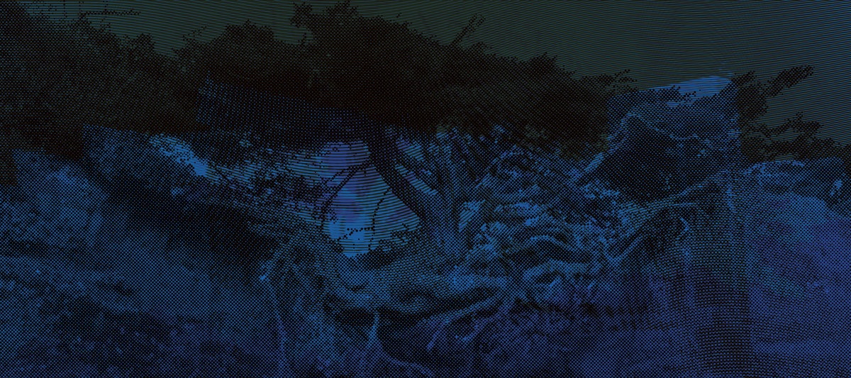 OBSOLETH