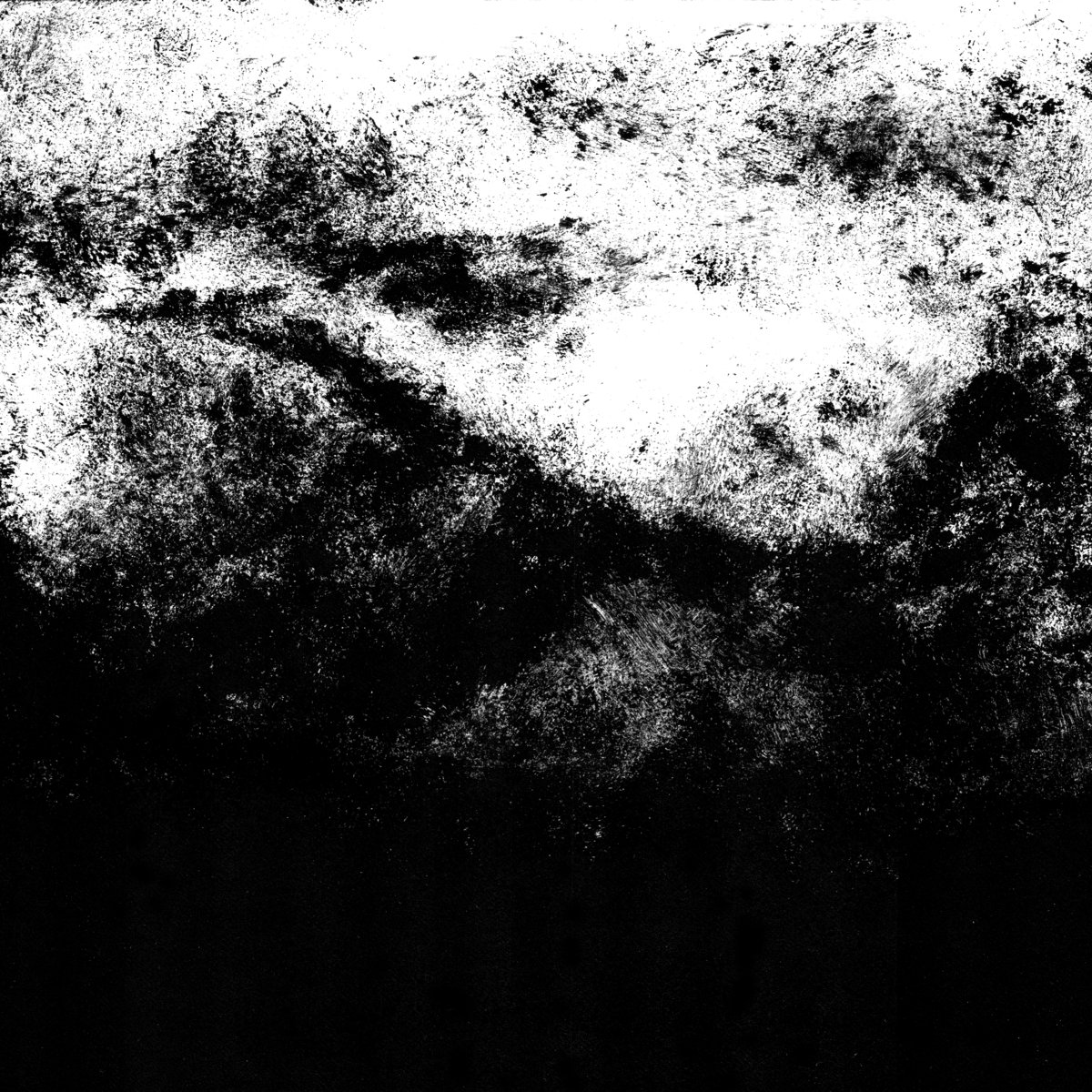 myotis