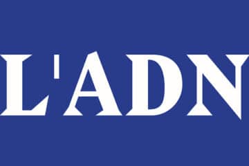logo adn 6