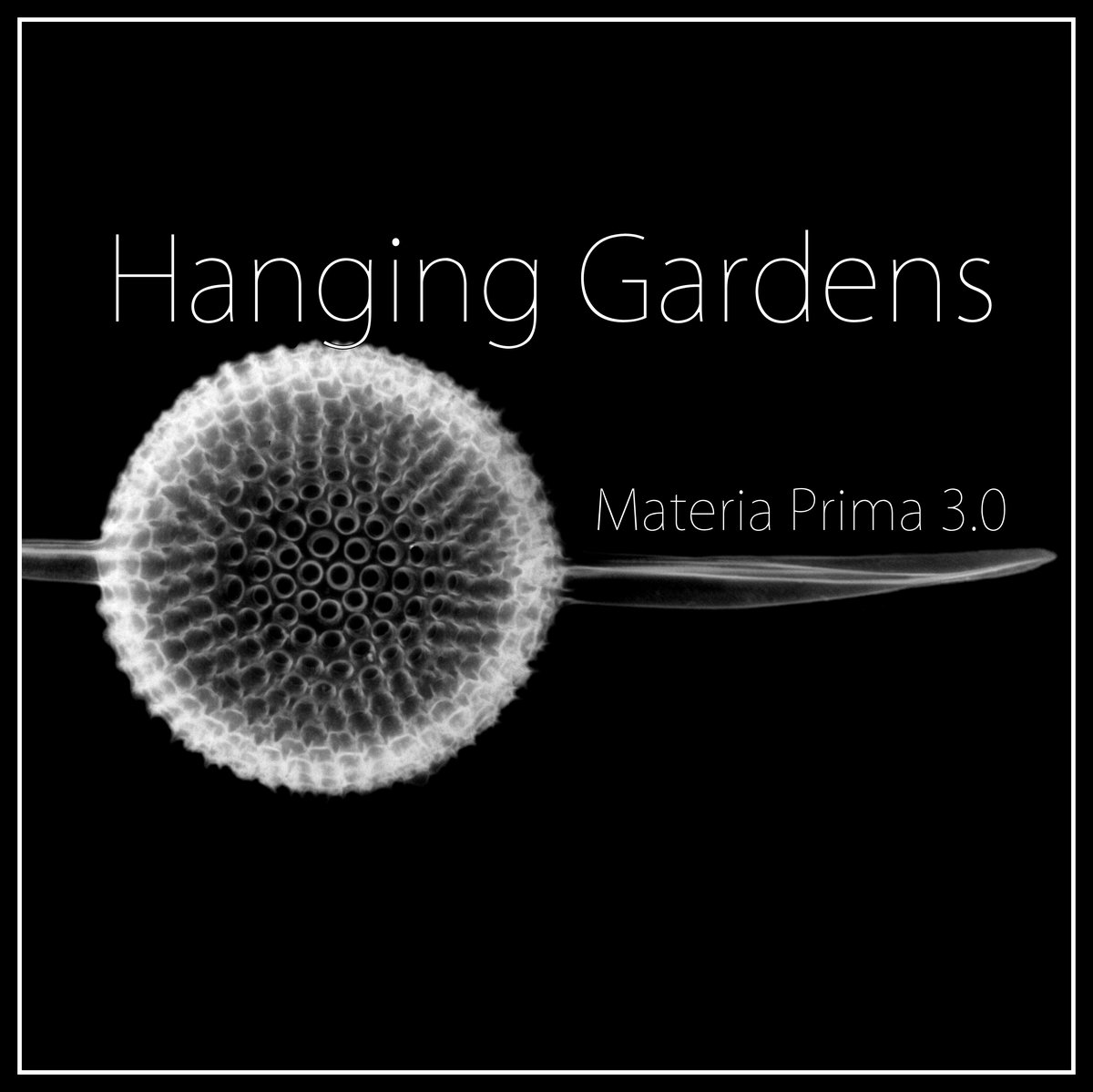 Hanging Gardens