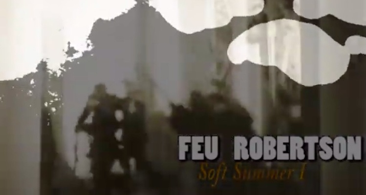 feu robertson Soft Summer