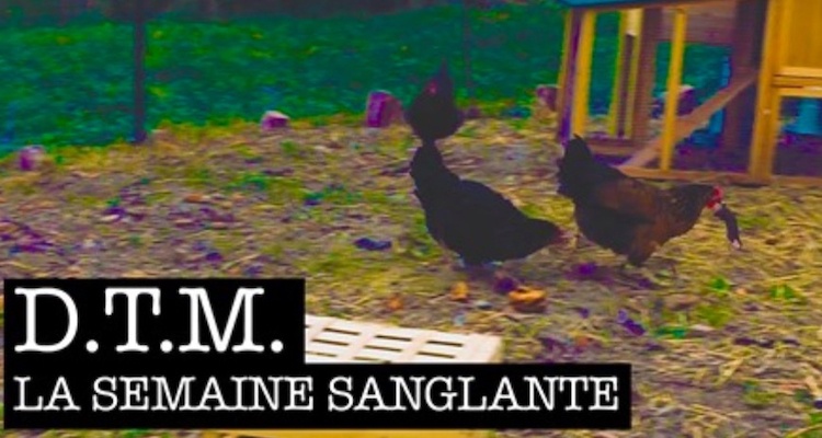 DTM la semaine sanglante