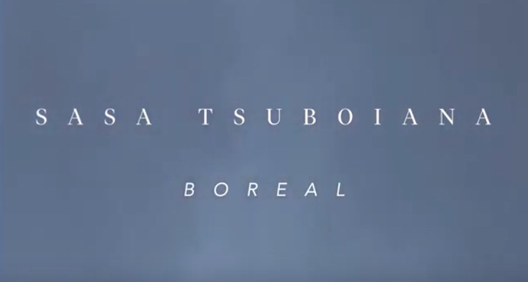 BOREAL Sasa Tsuboiana