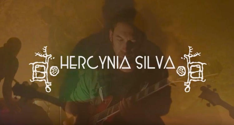 HERCYNIA SILVA Grande Clarte