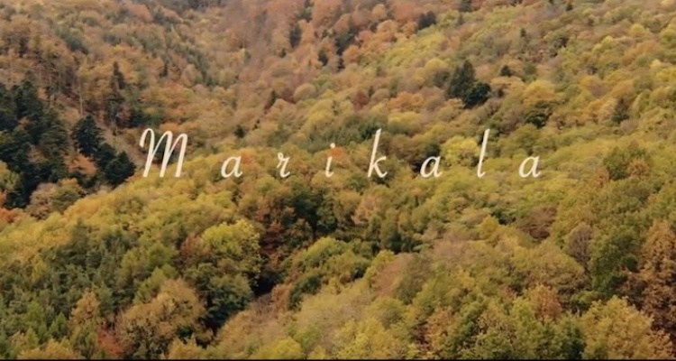 Marikala Clip Corps en jachere