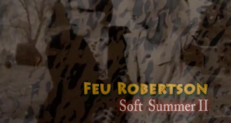 Feu Robertson Soft Summer II