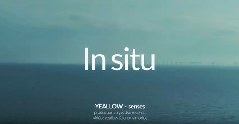 YEALLOW In situ