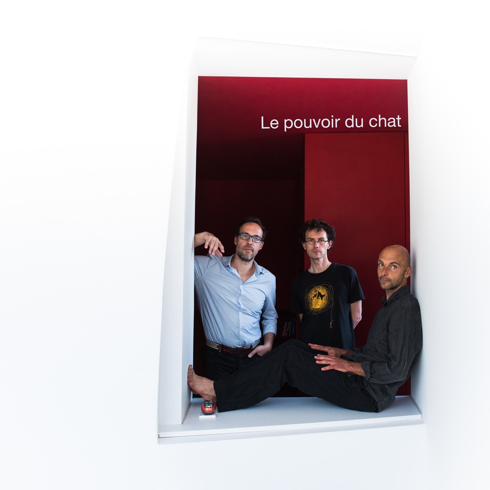 le pouvoir du chat