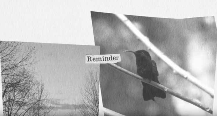 Instase Reminder