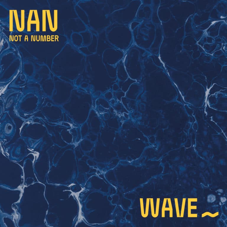 nan not a number wave