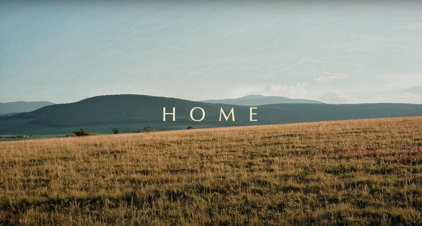 loner deer home