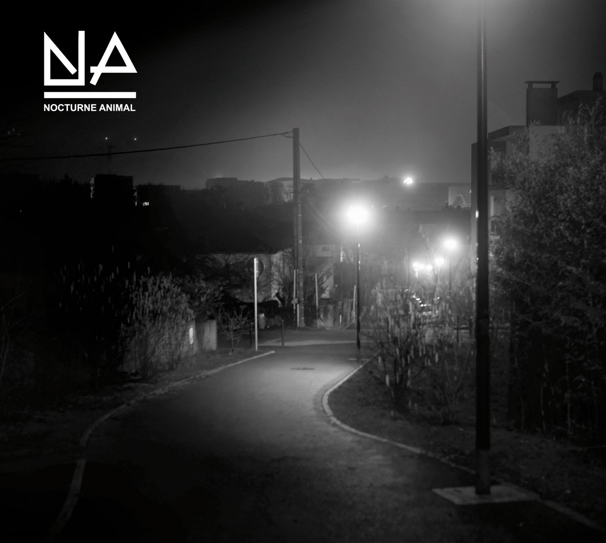 nocturne animal