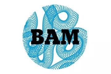 BAM Metz logo