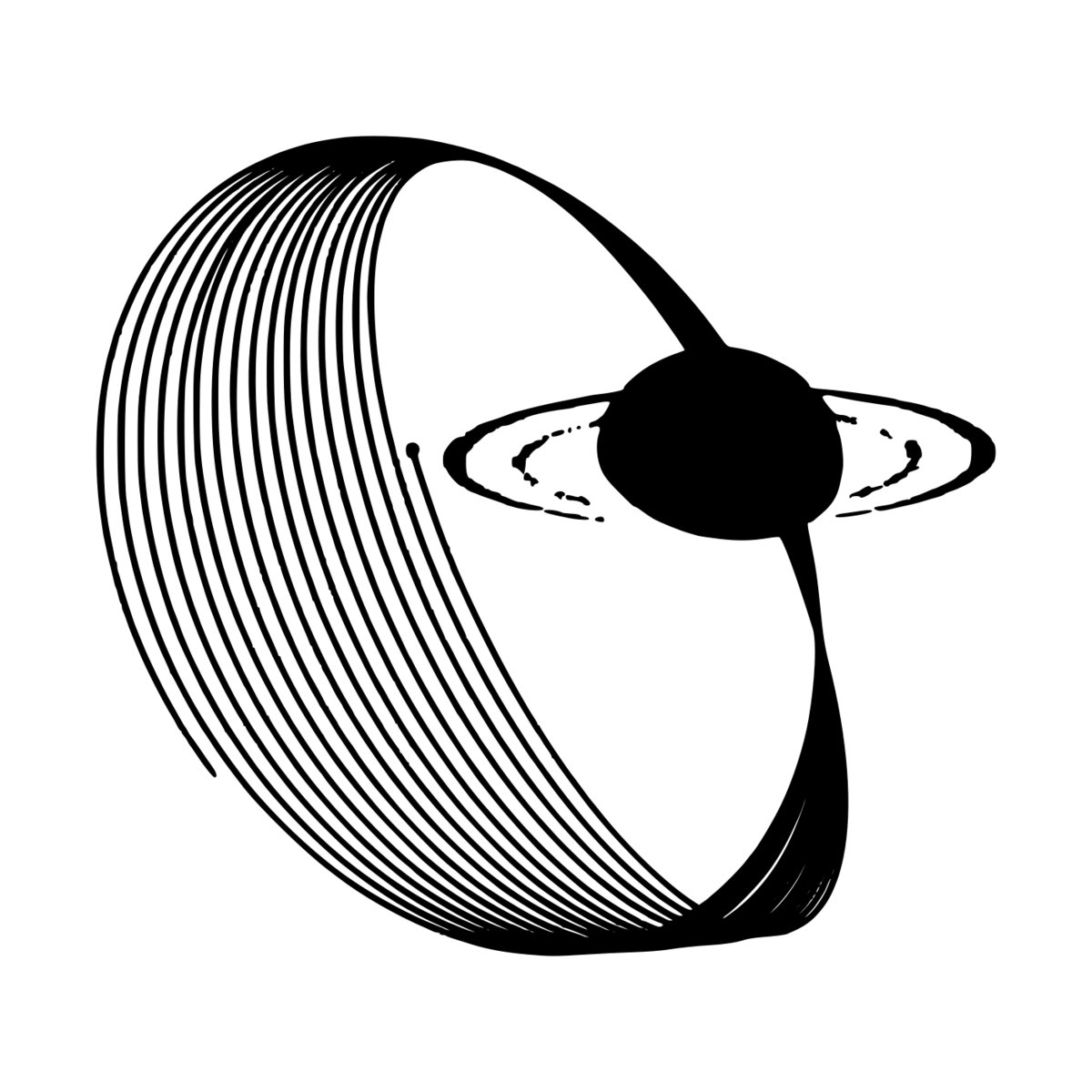 rick case cassini