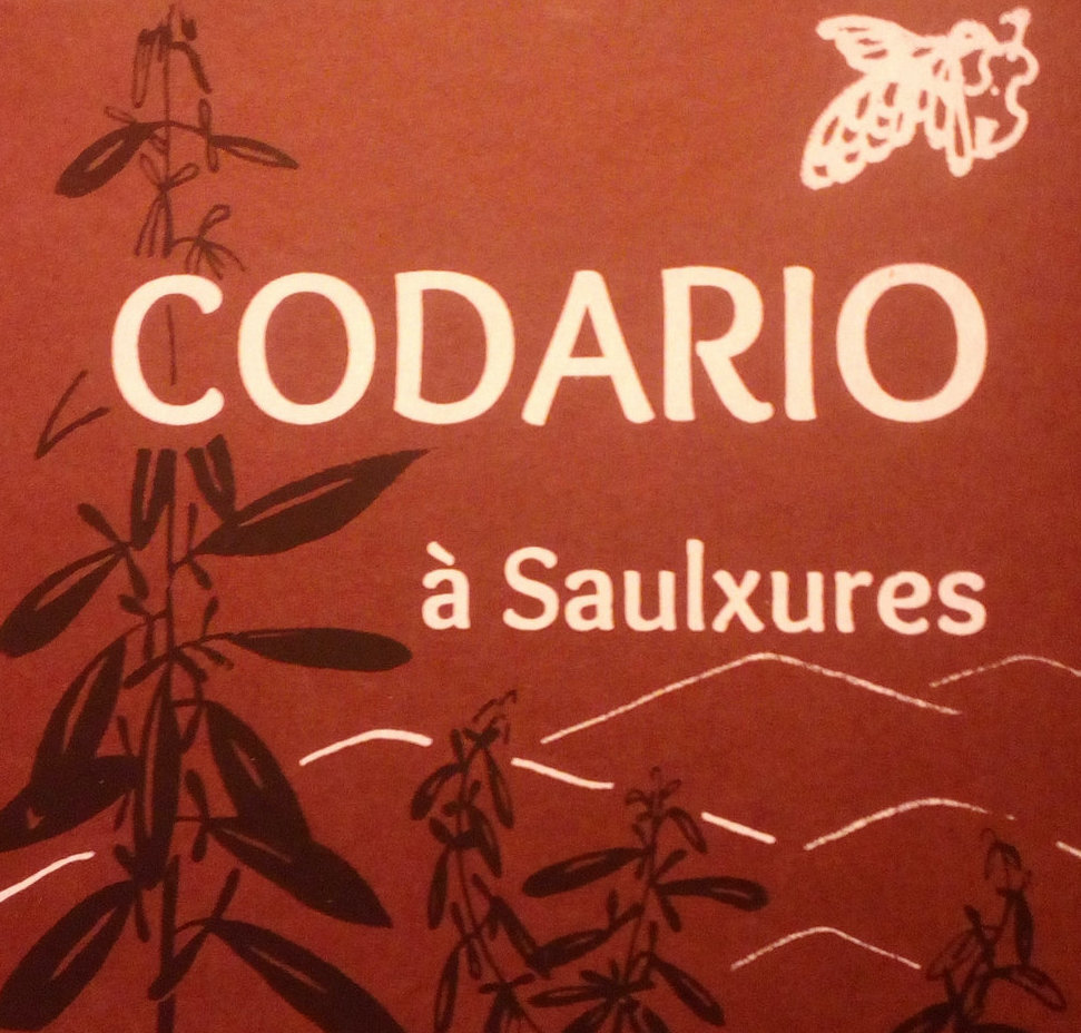 Duo codario