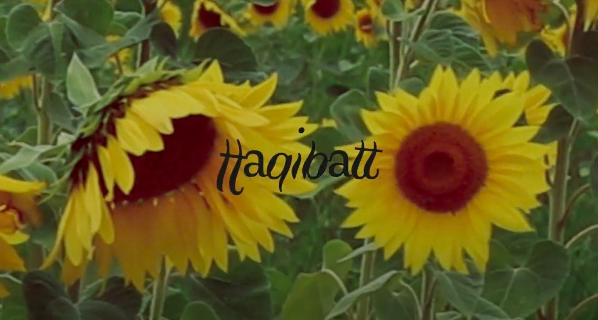 haqibatt