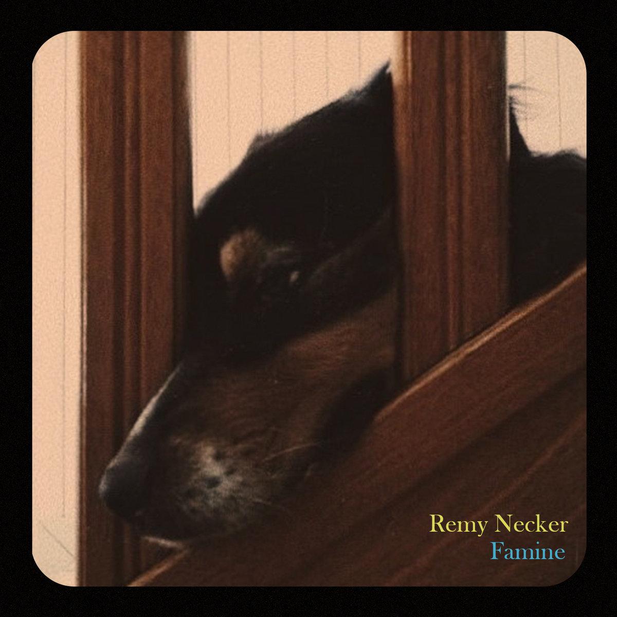 Remy Necker Famine